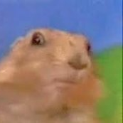 MrChipmunk profile picture